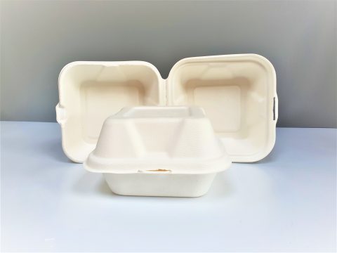 BAGASSE CLAMSHELL FOOD BOXES