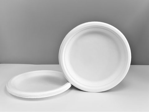 HEAVY DUTY PAPER PLATES (ENVIRO) 9"