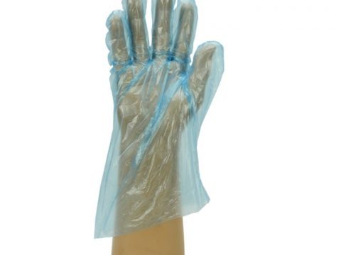 GLOVES POLYTHENE BLUE X 100