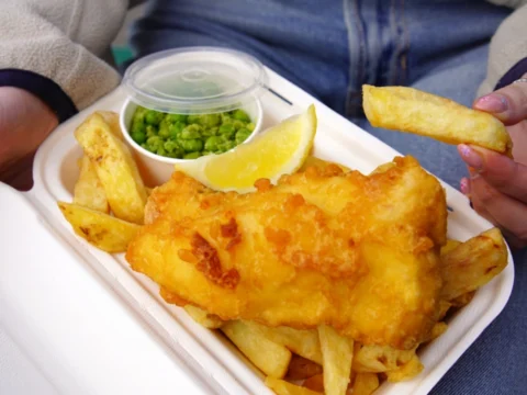 BAGASSE FOOD BOXES